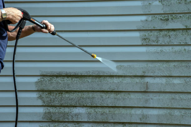 Best Building Exterior Washing  in Llano, TX